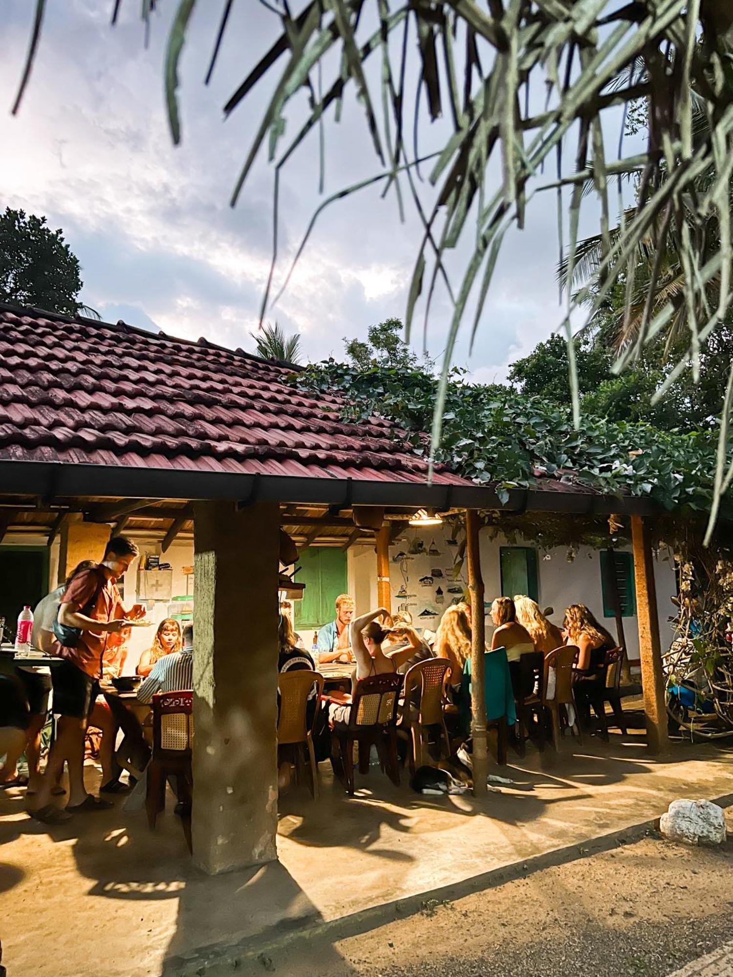 Lazy Monkey Surfhostel - Sri Lanka Dickwella Exterior photo