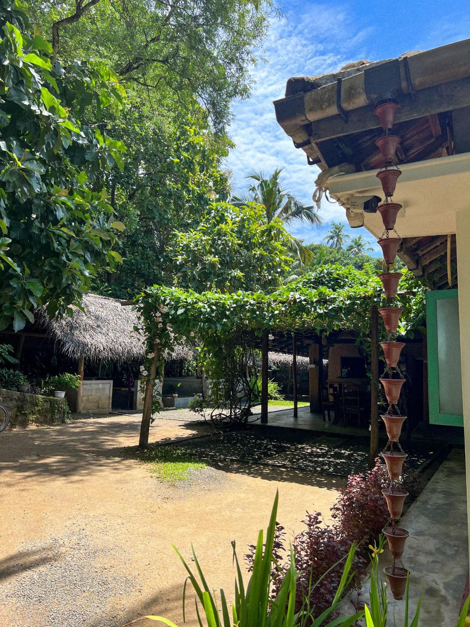 Lazy Monkey Surfhostel - Sri Lanka Dickwella Exterior photo