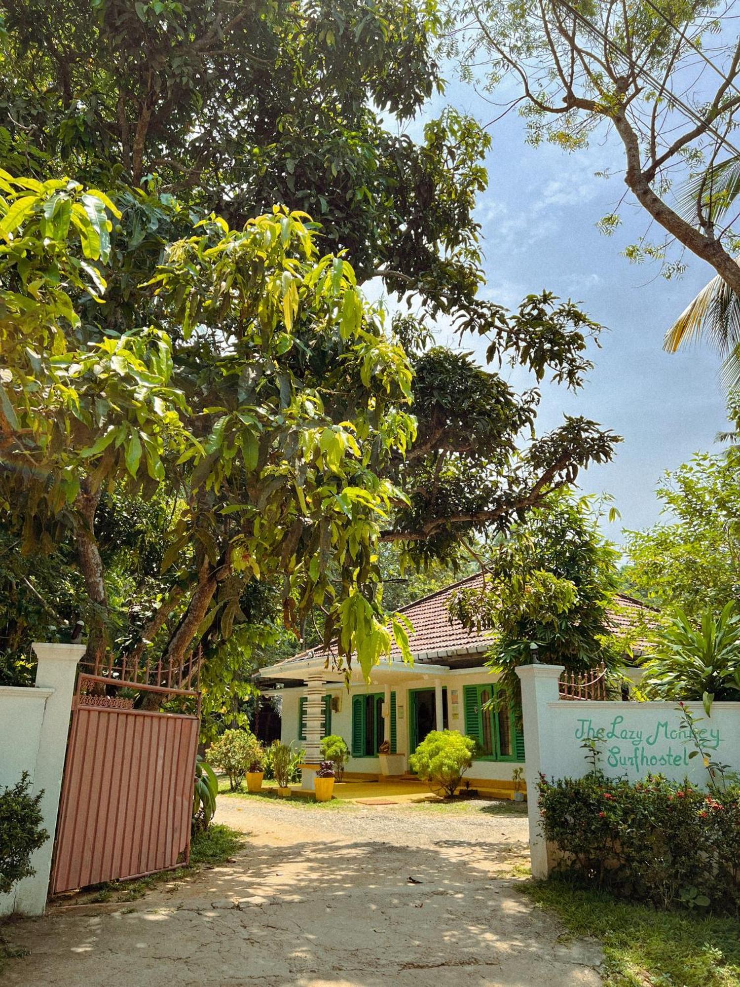Lazy Monkey Surfhostel - Sri Lanka Dickwella Exterior photo
