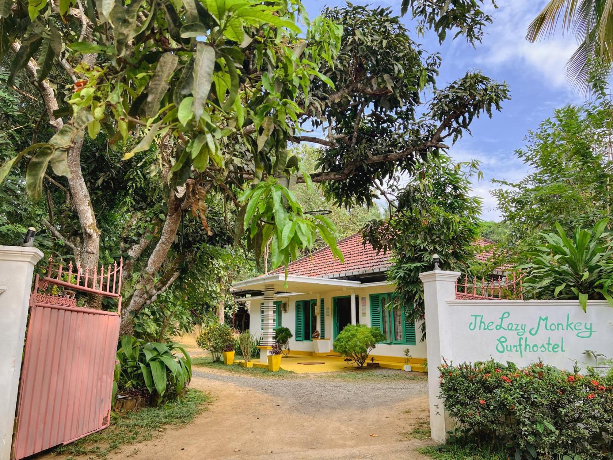 Lazy Monkey Surfhostel - Sri Lanka Dickwella Exterior photo